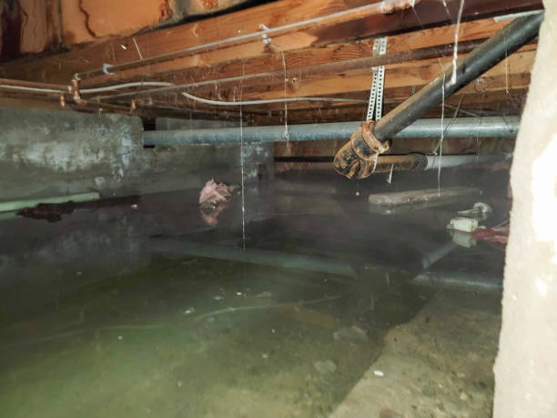 Best Water damage restoration services  in , GA