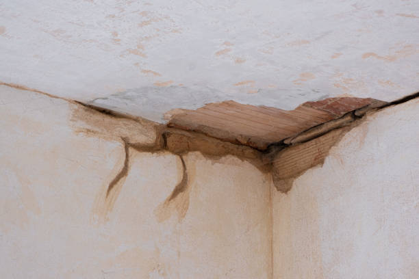 Best Commercial water damage restoration  in , GA