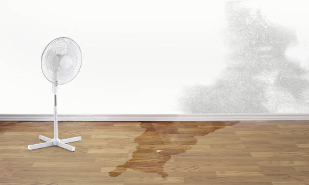 Best 24-hour water damage restoration  in , GA