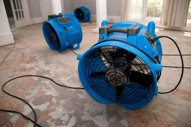Best Water damage contractors near me  in , GA