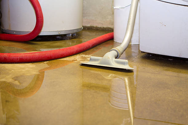 Best Water damage restoration near me  in , GA