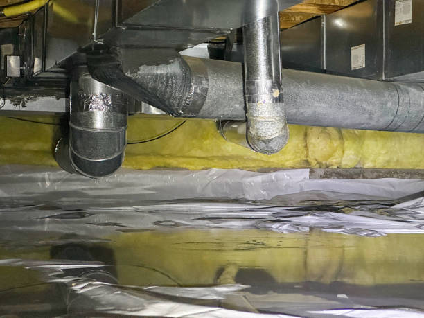Best Professional water damage repair  in , GA