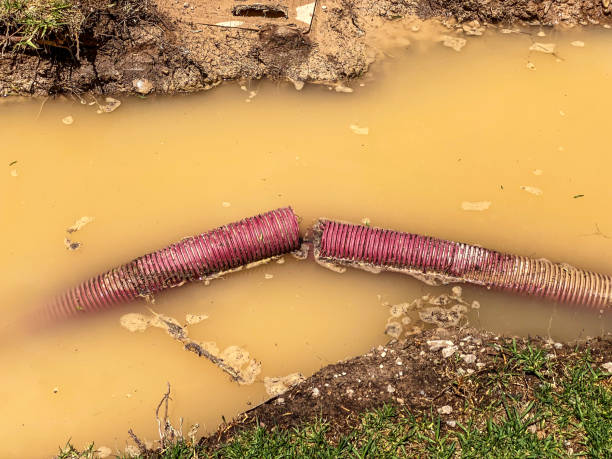 Best Flood damage cleanup  in , GA