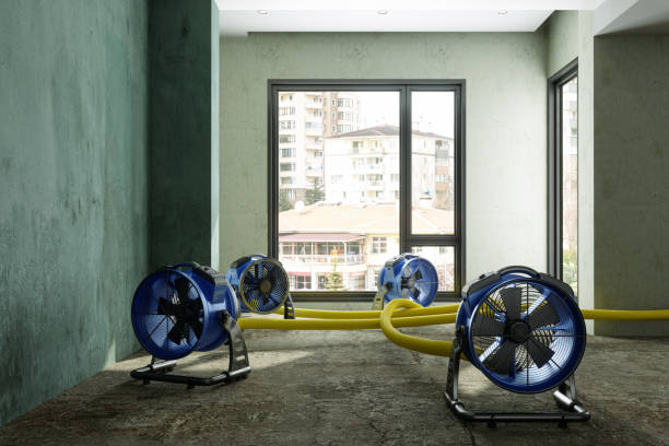 Best Local water damage restoration  in , GA